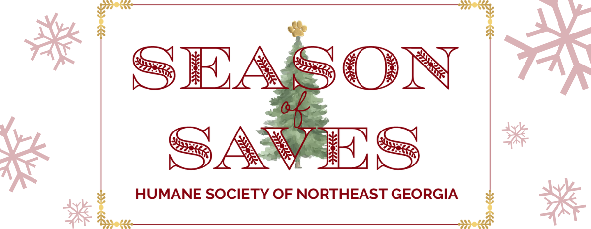 Season of Saves 2024 - Giving Tree